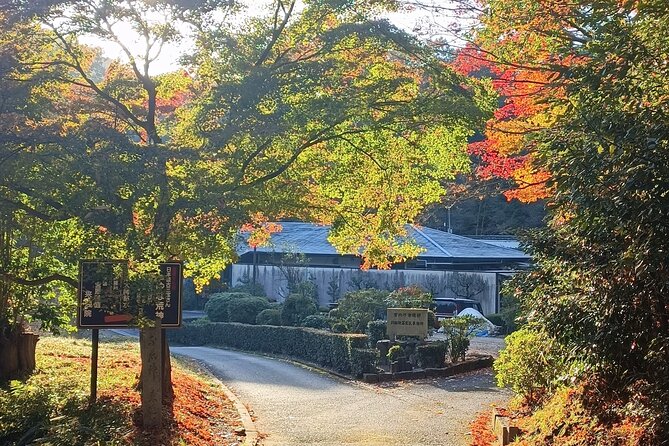 Kyoto Off The Beaten Path: Hidden Zen Garden & Magical Shrine - How much walking should you expect?