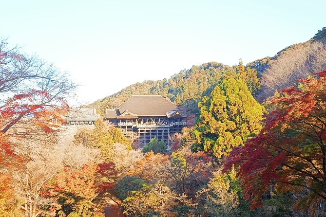 Kyoto Off The Beaten Path: Hidden Zen Garden & Magical Shrine - Who should book this Kyoto walk?