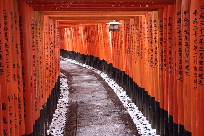 Kyoto Off The Beaten Path: Hidden Zen Garden & Magical Shrine - Shimogamo Shrine and the forest before breakfast