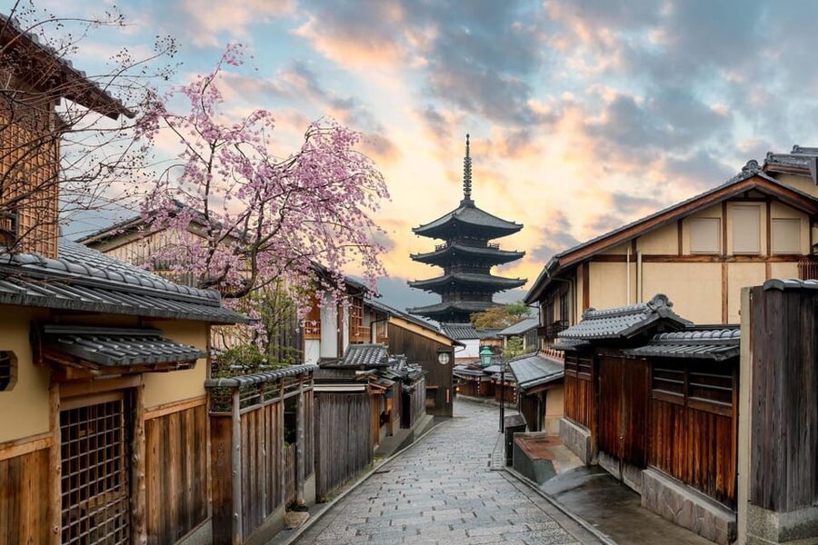 Kyoto/Osaka: Kyoto and Nara Customized Private Guided Tour - Why a private car helps in Kyoto