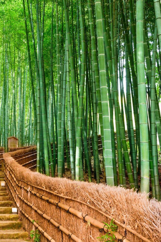 Kyoto/Osaka: Kyoto and Nara Customized Private Guided Tour - Kiyomizu-dera gives you hills, views, and crowds