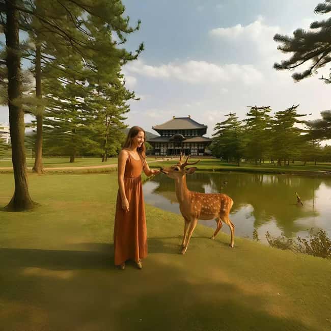 Kyoto/Osaka: Kyoto&Nara Customized Private Highlights Tour - What the $441 price really buys