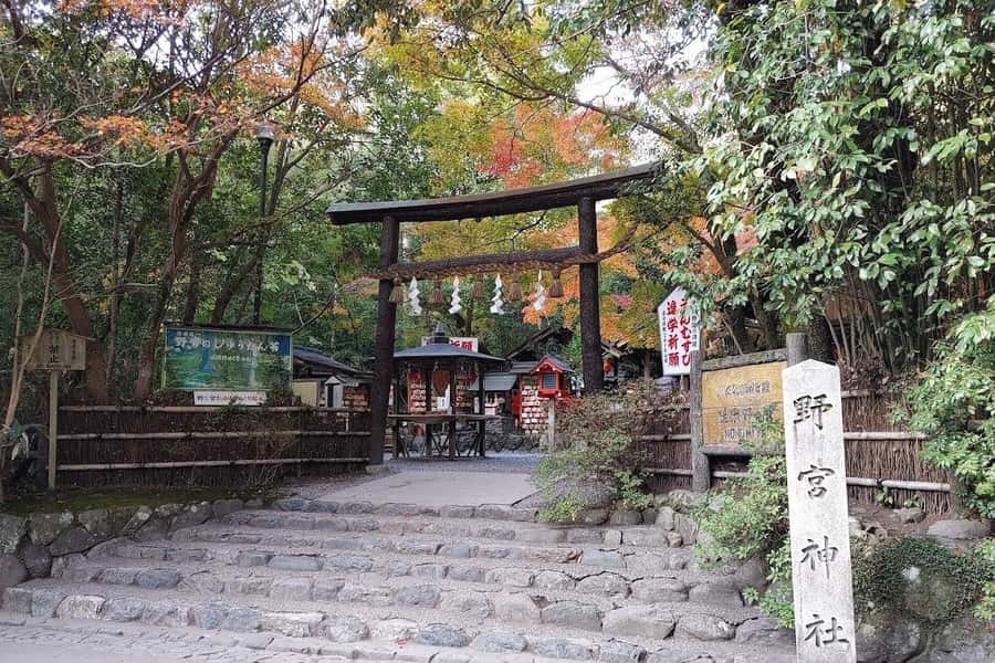 Kyoto/Osaka/Nara Private Customized Tour with Guide - How the $404 group price works