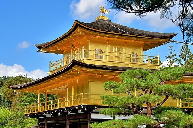 Kyoto, Osaka, Nara Private Tour by Car English Driver Guide - The driver-guide question you should settle before booking