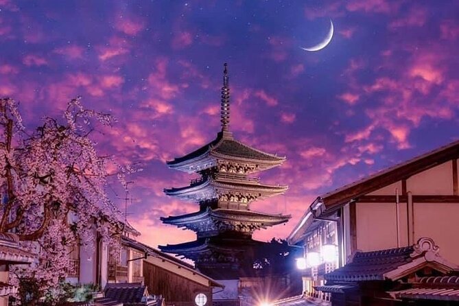 Kyoto, Osaka, Nara Private Tour by Car English Driver Guide - Timing, weather, and the reality of parking