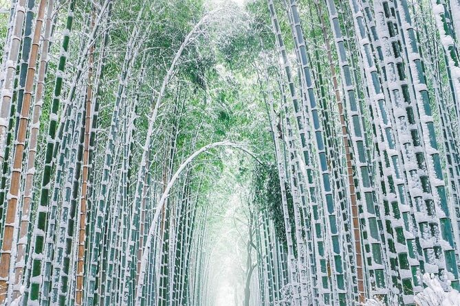 Kyoto, Osaka, Nara Private Tour by Car English Driver Guide - What the $660.51 price includes, and what it does not