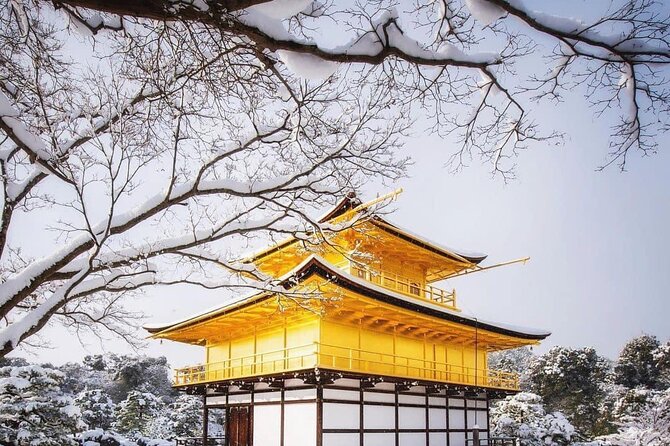 Kyoto, Osaka, Nara Private Tour by Car English Driver Guide - Who should book this private car day?