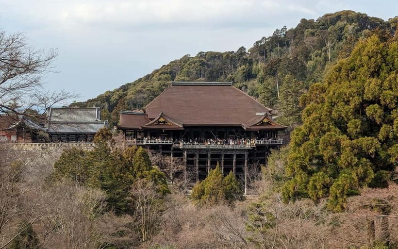 Kyoto: Personalize, private tour (3h, 5h, 8h) [W/Car Option] - Prepare for heat, walking, and temple etiquette