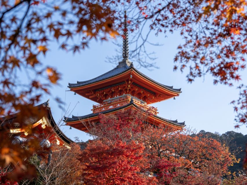 Kyoto: Personalized Guided Private Tour - A private Kyoto day that bends to your interests