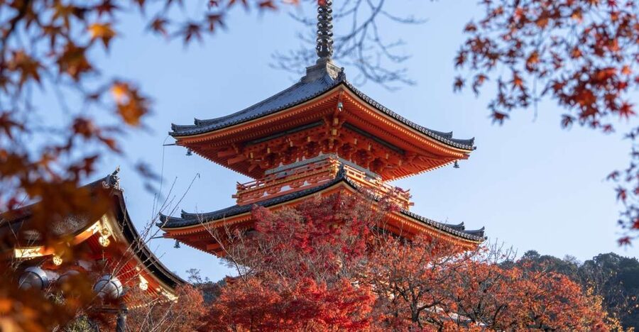 Kyoto: Personalized Guided Private Tour - Kinkaku-ji, Kyoto’s Golden Pavilion