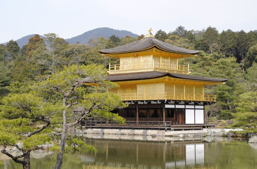 Kyoto: Personalized Guided Private Tour - What the guide can add to your day