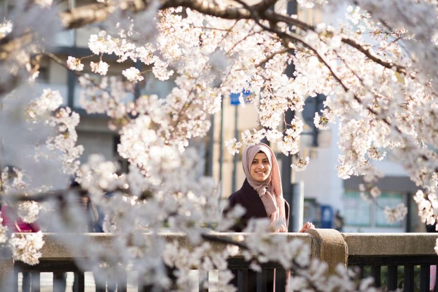 Kyoto: Photo Shoot with a Private Vacation Photographer - Choosing the right kind of Kyoto setting