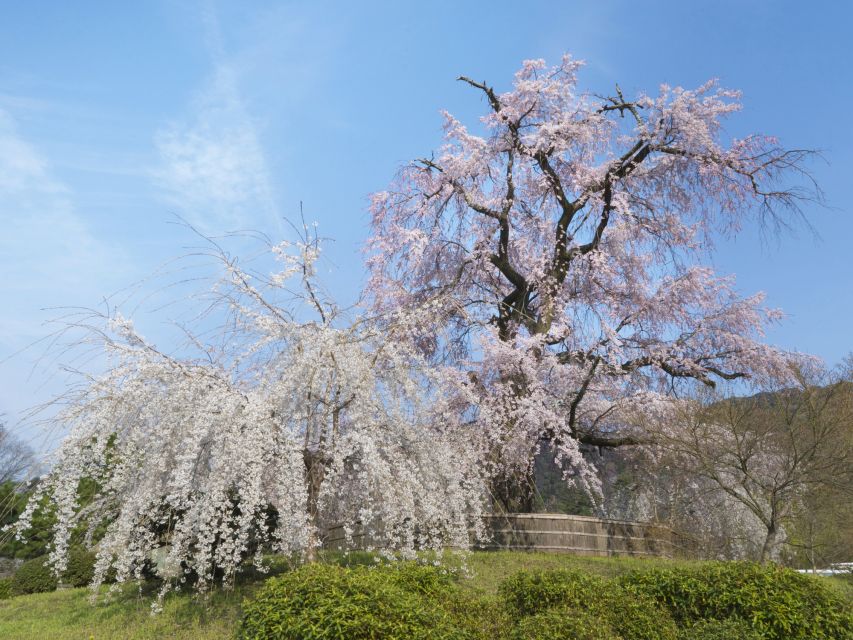 Kyoto: Private 2.5 Hour Historical Walking Tour - Pure water, iron, and matchmaking