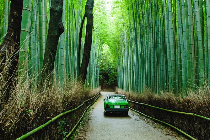 Kyoto Private 6 hour Tour: English Speaking Driver Only, No Guide - Why a private car helps in spread-out Kyoto