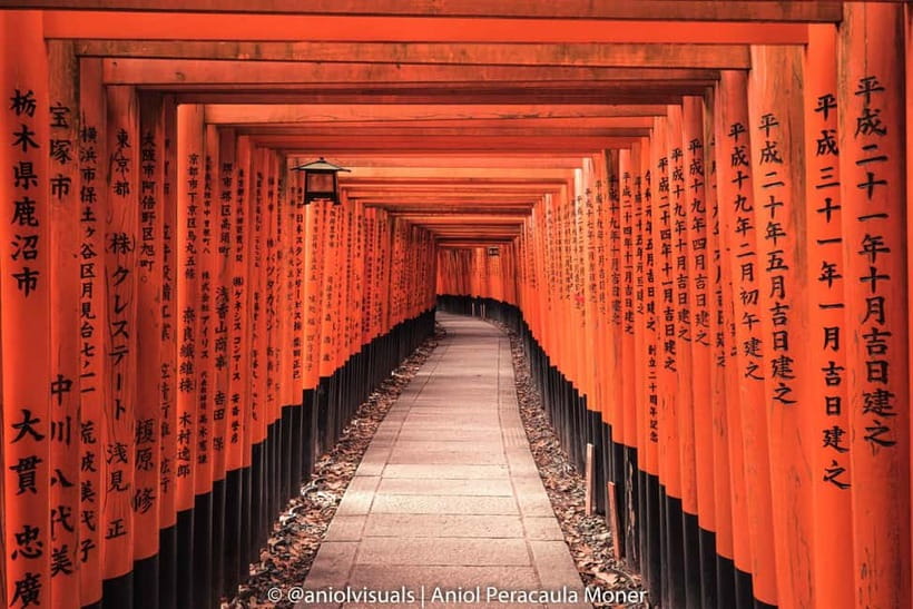 Kyoto: Private Customizable Day Tour with Guide and Vehicle - Key points at a glance