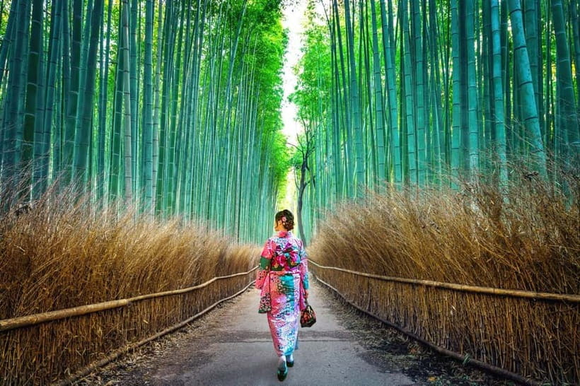 Kyoto: Private Customizable Day Tour with Guide and Vehicle - Arashiyama: bamboo, river views, and a busy start