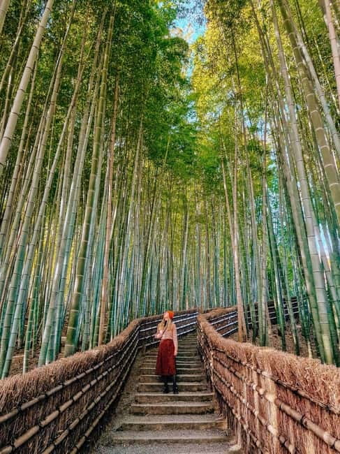 Kyoto: Private Customizable Day Tour with Guide and Vehicle - How the guides shape the experience