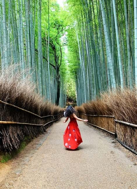Kyoto: Private Customizable Day Tour with Guide and Vehicle - Nishiki Market: a useful place for lunch and local flavors
