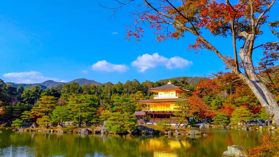 Kyoto: Private Customizable Day Trip by Car - Key points at a glance