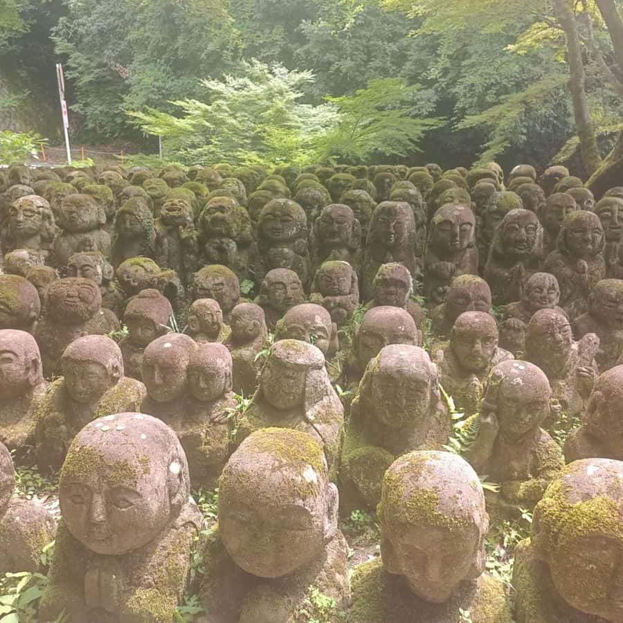 Kyoto: Private Customizable Day Trip by Car - Fushimi Inari closes the sightseeing route