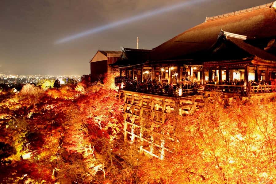 Kyoto: Private Customizable Day Trip by Car - Practical details that affect your day