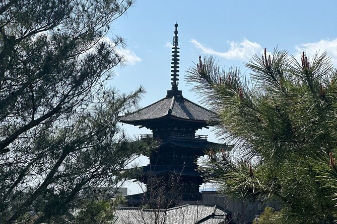 Kyoto Private Customizable Day Trip With English chauffeur - Kinkaku-ji and the famous Mirror Pond