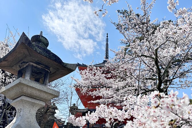 Kyoto Private Customizable Day Trip With English chauffeur - Sanjusangendo and its remarkable interior