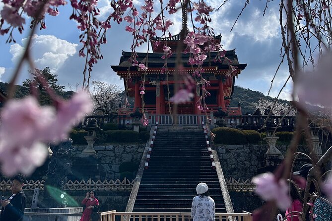 Kyoto Private Customizable Day Trip With English chauffeur - Ginkaku-ji, the Silver Pavilion without the silver