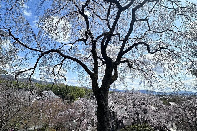 Kyoto Private Customizable Day Trip With English chauffeur - Fushimi Inari’s torii gates