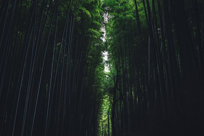 Kyoto Private Customizable Half Day Tour - Is $174.95 Per Person Good Value?