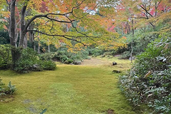 Kyoto Private & Customizable Tour with English-Speaking Driver - A private way to connect Kyoto’s far-flung sights