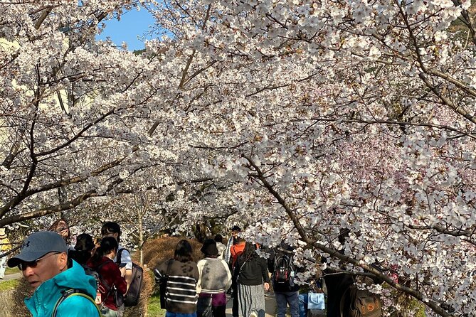 Kyoto Private & Customizable Tour with English-Speaking Driver - Kiyomizu-dera and the wooden stage above Kyoto