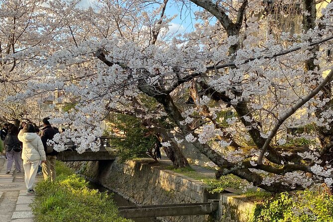 Kyoto Private & Customizable Tour with English-Speaking Driver - Fushimi Inari’s torii gates, with a realistic plan