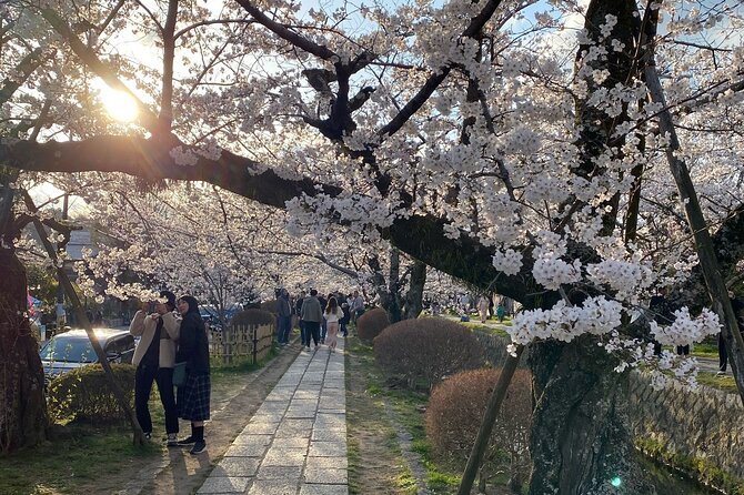 Kyoto Private & Customizable Tour with English-Speaking Driver - Sanjusangendo, a calmer final temple stop