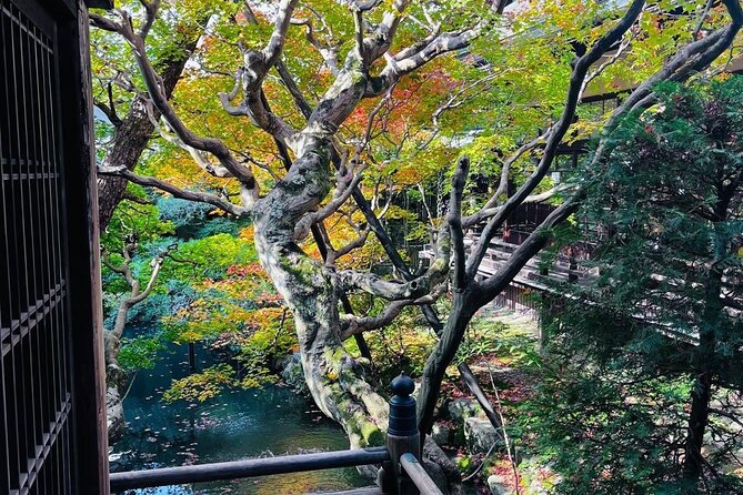 Kyoto Private & Customizable Tour with English-Speaking Driver - Kinkakuji, Kyoto’s gold-leaf showpiece
