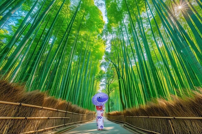 Kyoto Private Customized Day Tour with Guide - Key points at a glance