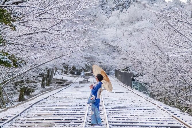 Kyoto Private Customized Day Tour with Guide - Why a private car makes Kyoto easier