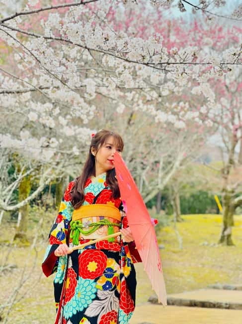 Kyoto: Private Customized Tour With English Speaking Guide - Togetsukyo Bridge brings river and mountain views