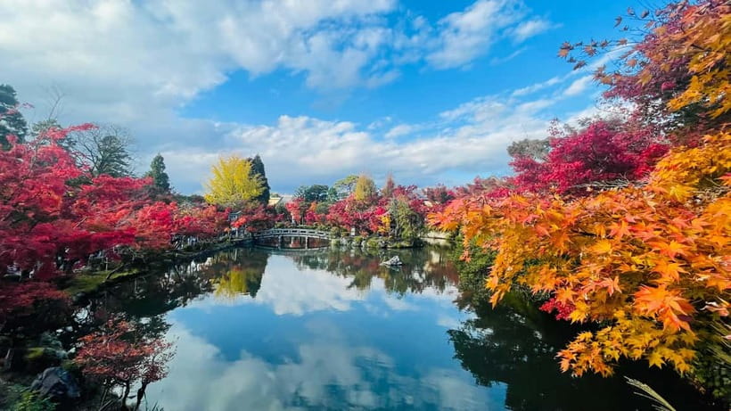 Kyoto: Private Customized Tour With English Speaking Guide - Pontocho Alley is a scenic pass, not a full visit