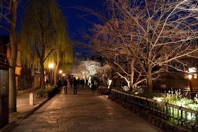 Kyoto Private Day Tour with English-Speaking Driver from Kyoto - Driver-escort service or full guided tour?