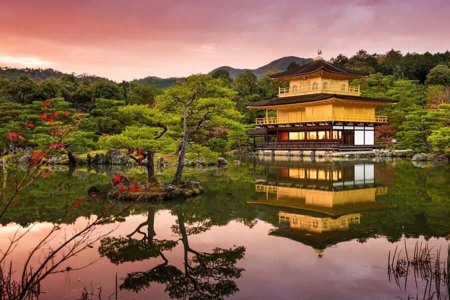 Kyoto: Private Full-Day Customizable World Heritage Tour - Kiyomizu-dera and Kyoto from above