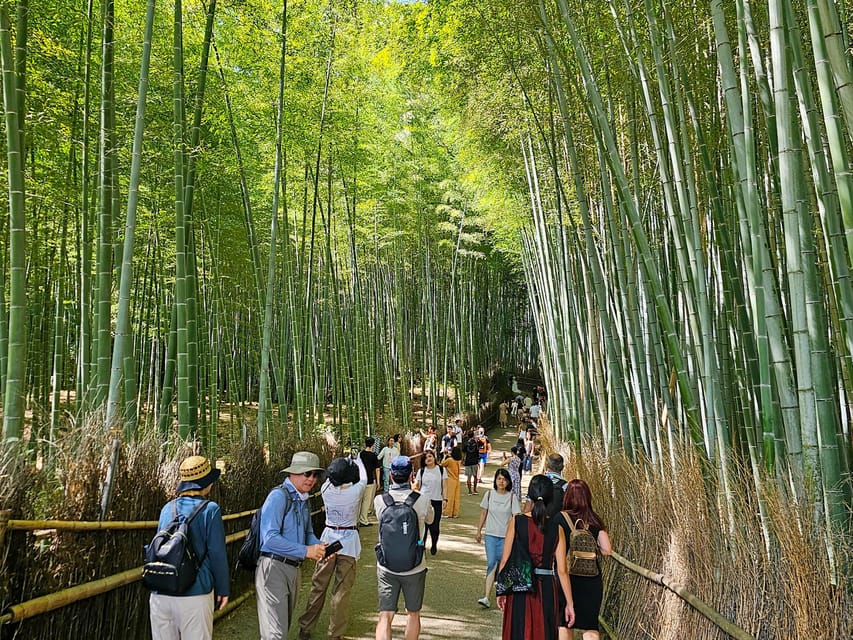 Kyoto: Private Full-Day Customizable World Heritage Tour - Kyoto Botanical Gardens for a calmer opening