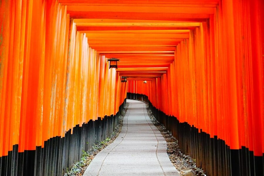 Kyoto: Private Full-Day Tour by Car - Fushimi Inari and Its Vermilion Tunnels
