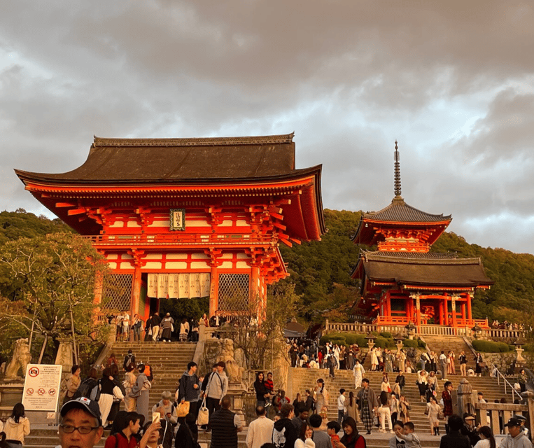 Kyoto: Private Highlights Tour with Guide and Luxury Vehicle - Why a private vehicle makes sense in Kyoto