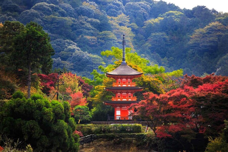 Kyoto: Private Highlights Tour with Guide and Luxury Vehicle - Gion after the temple crowds