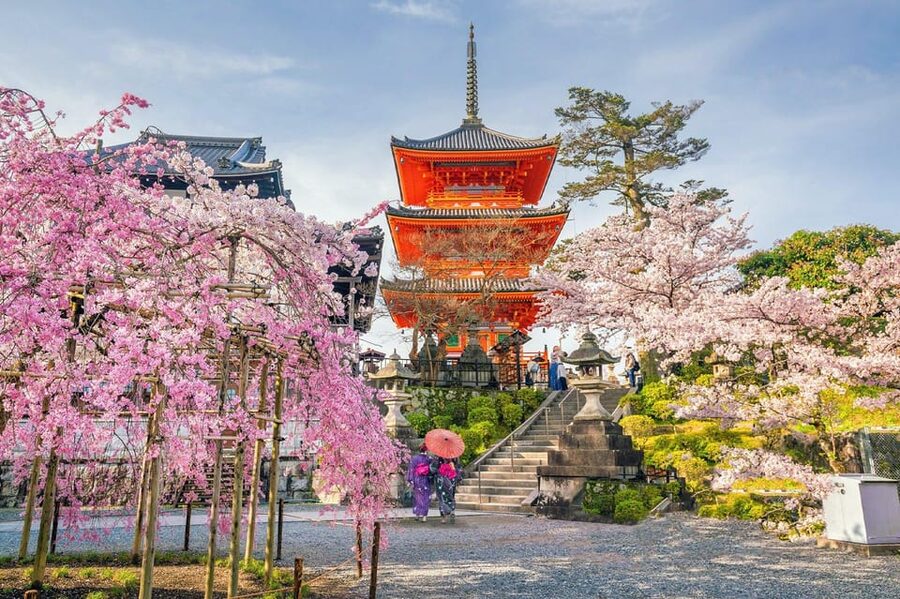 Kyoto: Private Highlights Tour with Guide and Luxury Vehicle - Nishiki Market for a flexible lunch stop