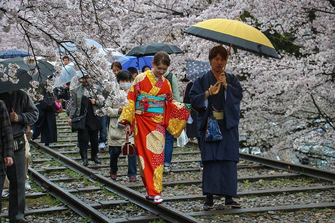 Kyoto Private & Personalized Half-Day Walking Tour with a Local - Nijo Castle and the age of the shoguns