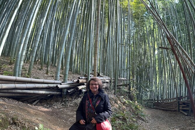 Kyoto Private Tour with Customized Itinerary - Yasaka Shrine and the eastern edge of Gion