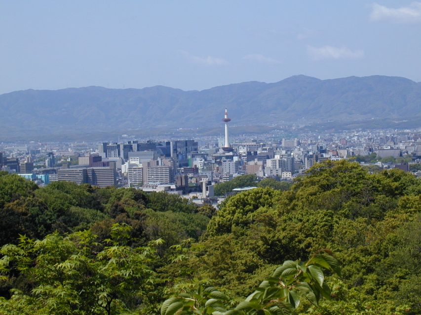 Kyoto: Private Tour with Local Licensed Guide - Fushimi Inari and the famous red gates