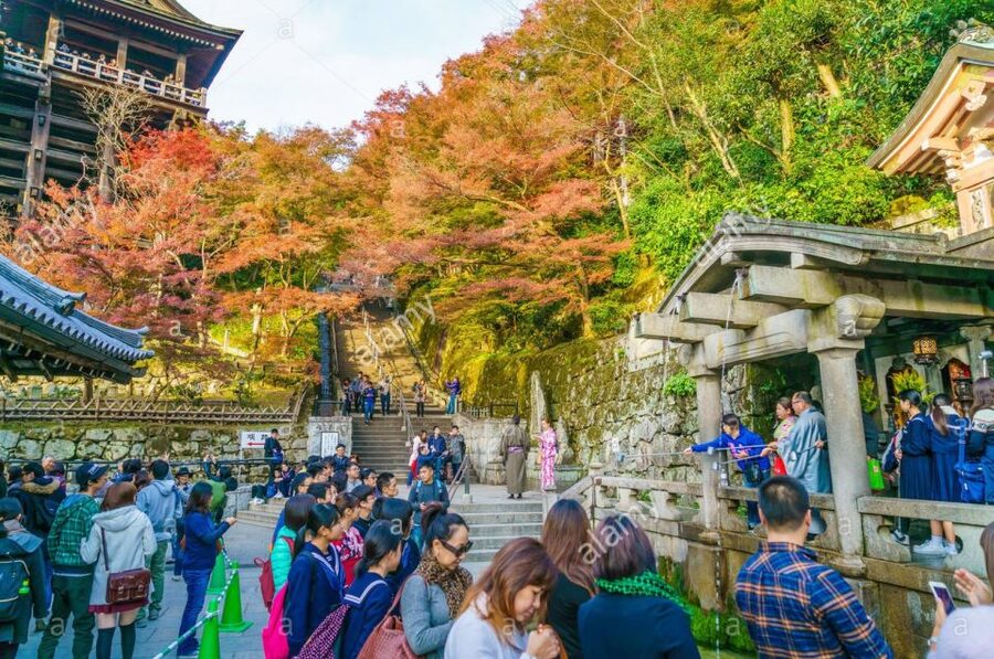 Kyoto: Private Tour with Local Licensed Guide - Choosing between four, six, and eight hours